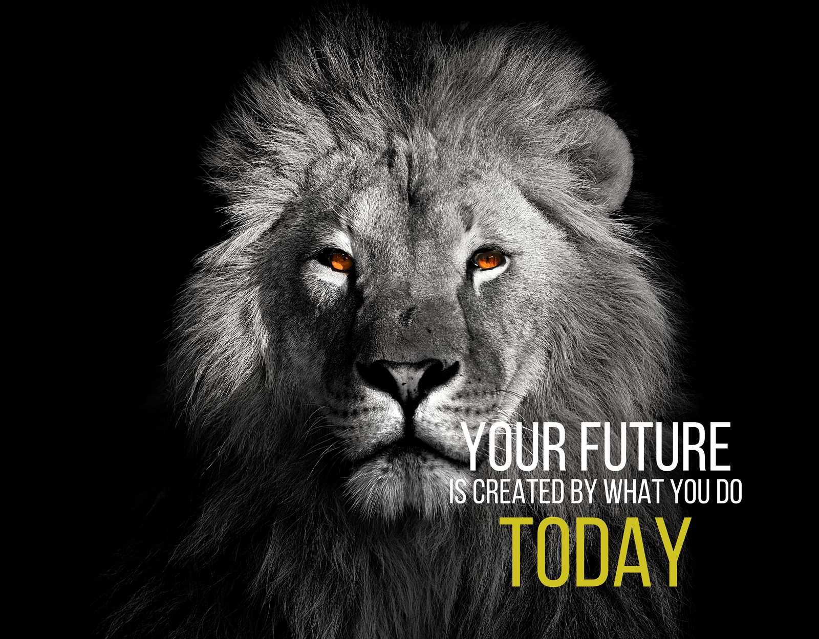 Poster - Leeuw Motivatie