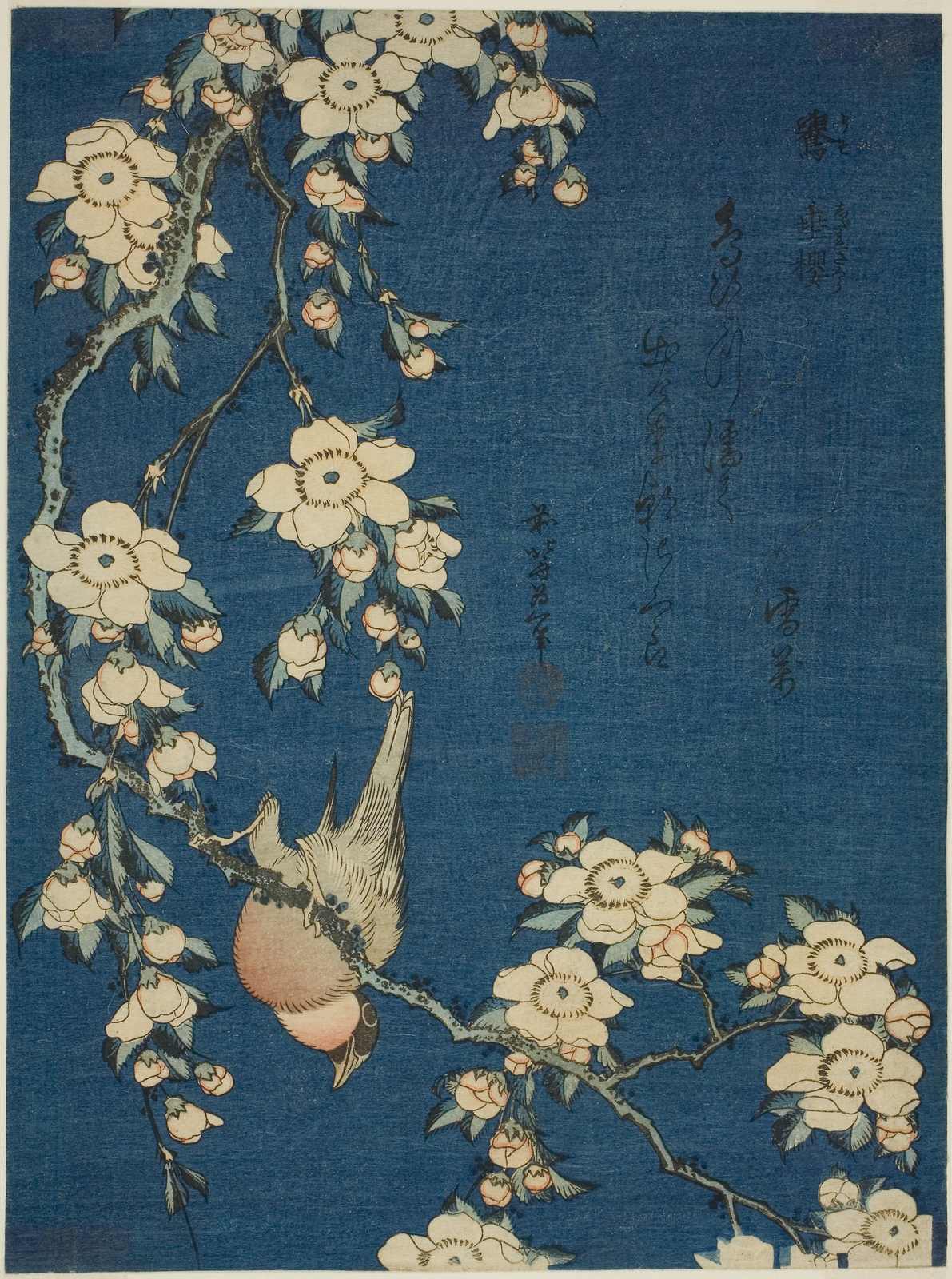 Poster - Vogel en Bloesem