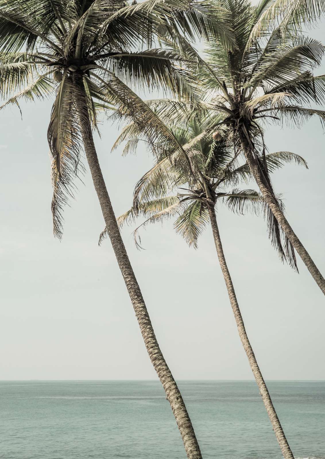 Poster - Palmboom Strandtafereel