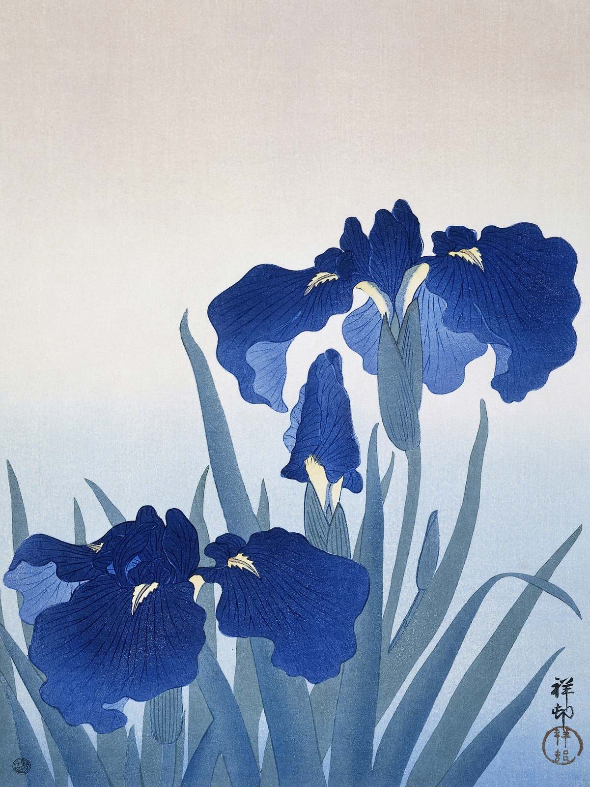 Poster - Japanse Blauwe Irissen