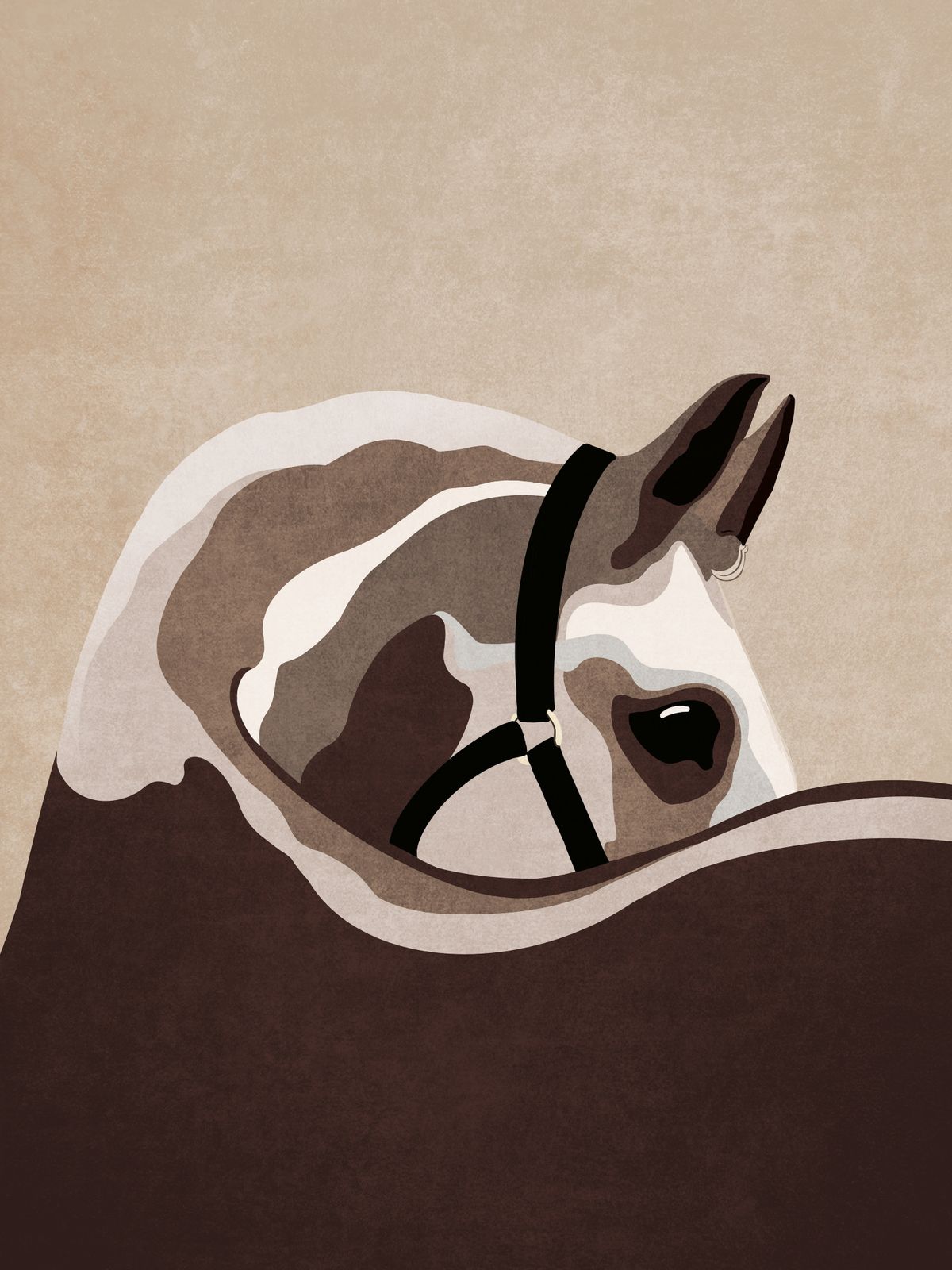 Poster - Abstract Paard