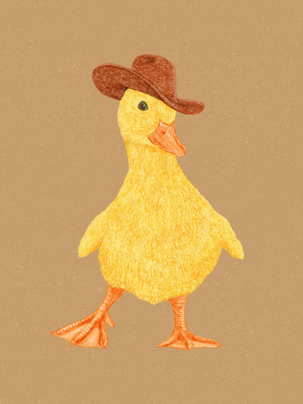 Poster - Eend met Cowboyhoed