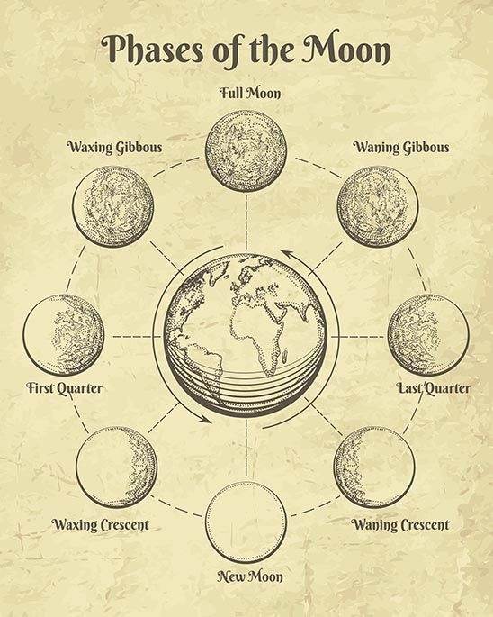 Poster - Fasering van de maan