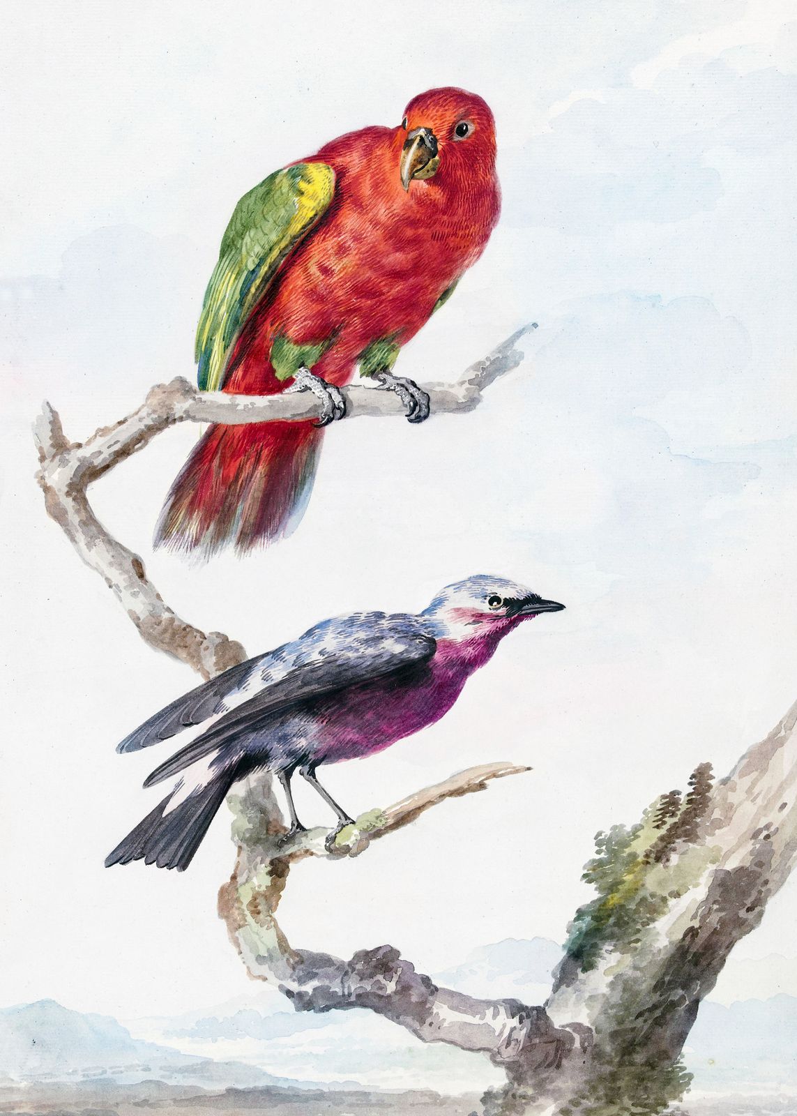 Poster - Vogels op een tak