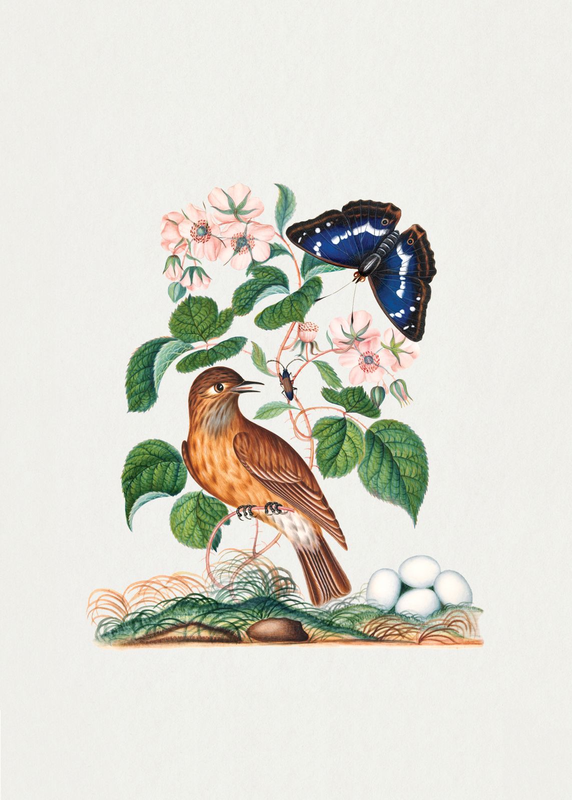 Poster - Vogel en Vlinder