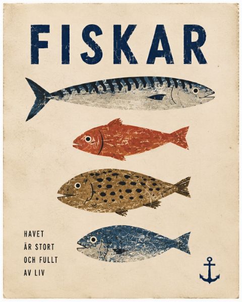 Poster - Vissen Collectie