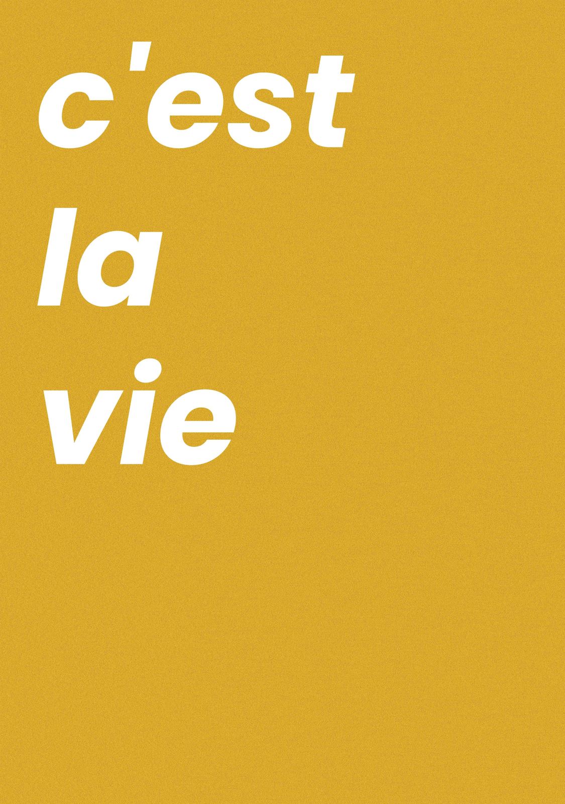 Poster - C'est la Vie