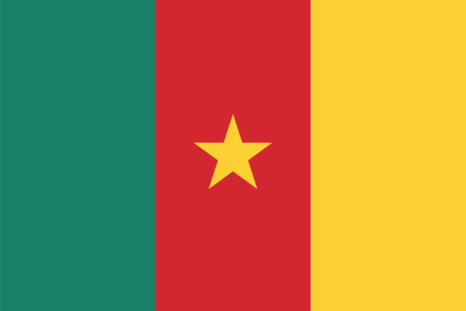 Vlag van Kameroen - Sticker