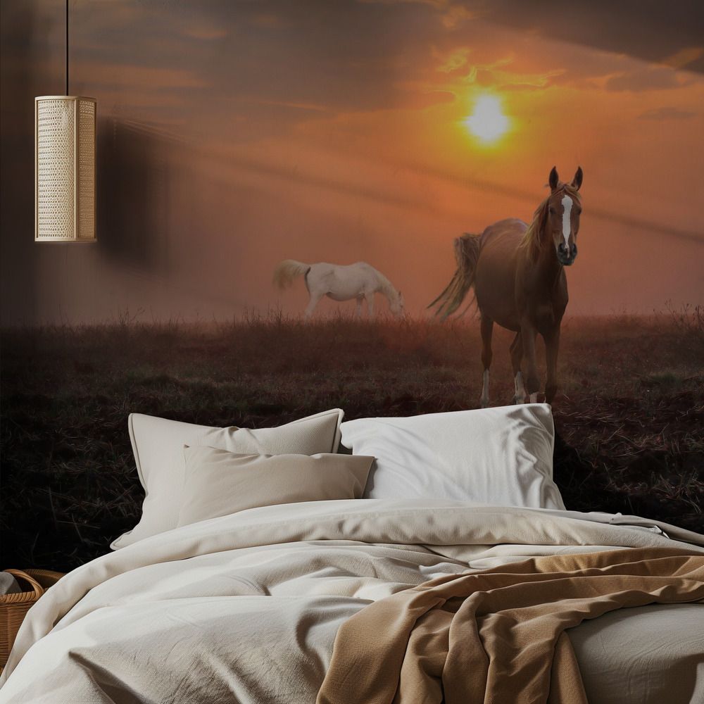 Behang - Zonsondergang Paarden